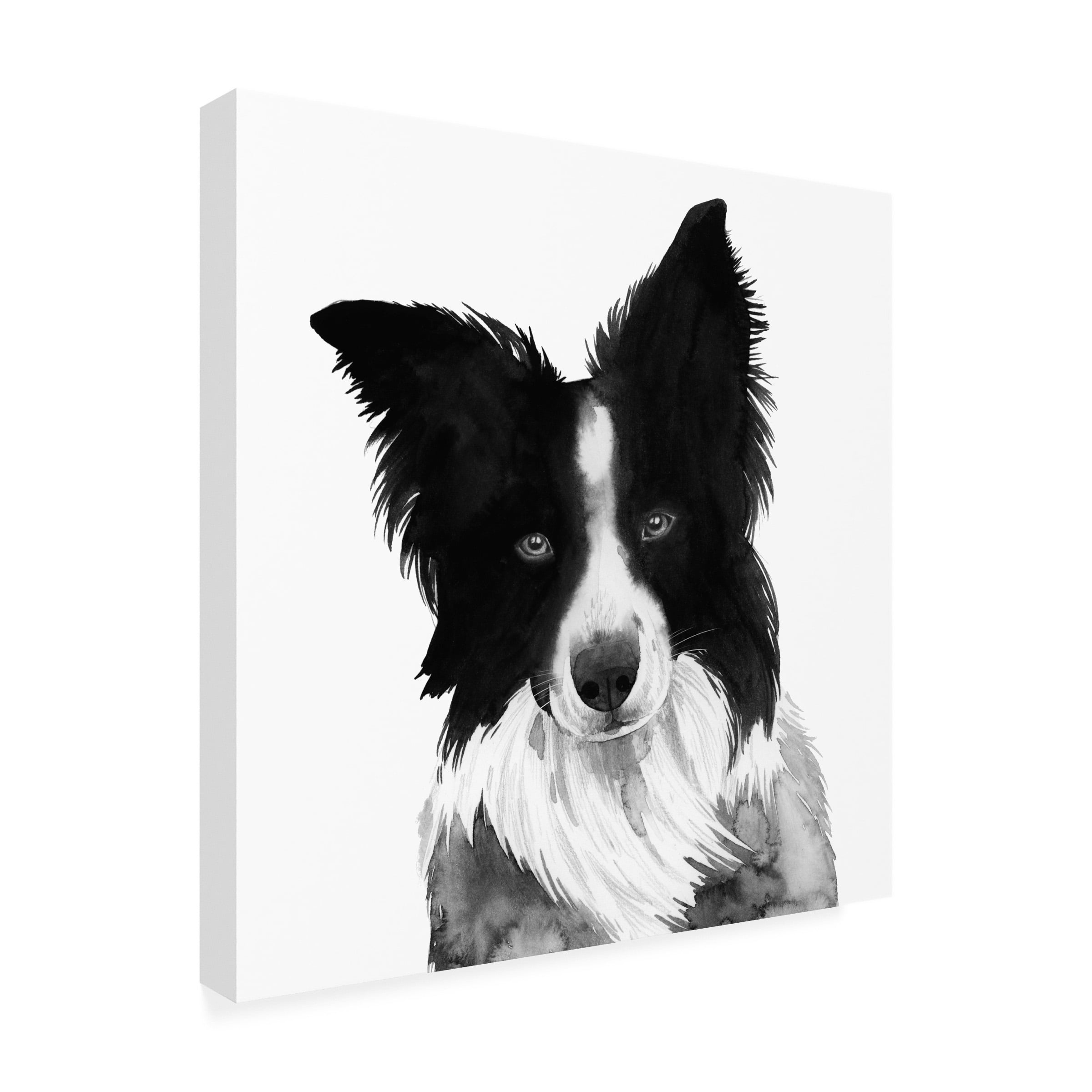 Grace Popp 'Border Collie I' Canvas Art