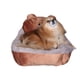 thumbnail image 2 of Camita para Perros Innovapets de Razas Pequeñas y Gatos Oso 50*40*10 cm, 2 of 4