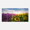 thumbnail image 2 of Lavender and Sunflower Fields - Floral Canvas Art Print, 2 of 3