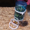 thumbnail image 3 of Small Pet Guinea Pig Food Dish Bowl Squirrel Automatic Feeder (Blue), 3 of 9