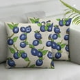thumbnail image 2 of COMIO  Throw Pillow Cover Bright Blueberries On A White Design Pattern Throw Pillow Case Cushion Cover Home Office Decorative Square  2pc, 2 of 6