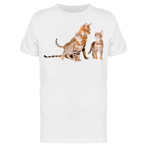 Bengal Kittens And Mother Cat Tee Men's -Image by Shutterstock