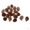 thumbnail image 1 of 60Pcs Conos de Pino Secos Naturales Favor de Fiesta Decoración de La Boda Adornos para El Hogar SM SunniMix Conos de pino natural, 1 of 8
