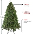 thumbnail image 4 of Northlight 7.5' Prelit Artificial Christmas Tree Medium Mixed Scotch Pine - Clear Lights, 4 of 6