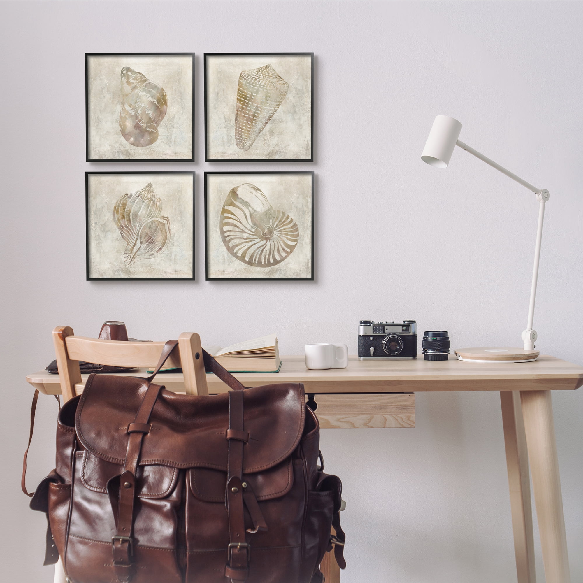 Stupell Industries Vintage Nautilus Seashells Soft Brown Patterned Aquatic Animals, 12 x 12, Design by ​Carol Robinson
