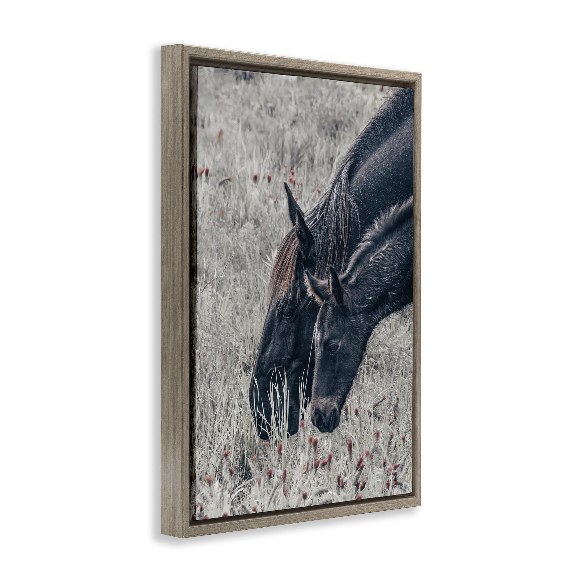Stupell Industries New Graze Horses in Meadow Brown Framed Floater Canvas Wall Art, design by Nathan Larson