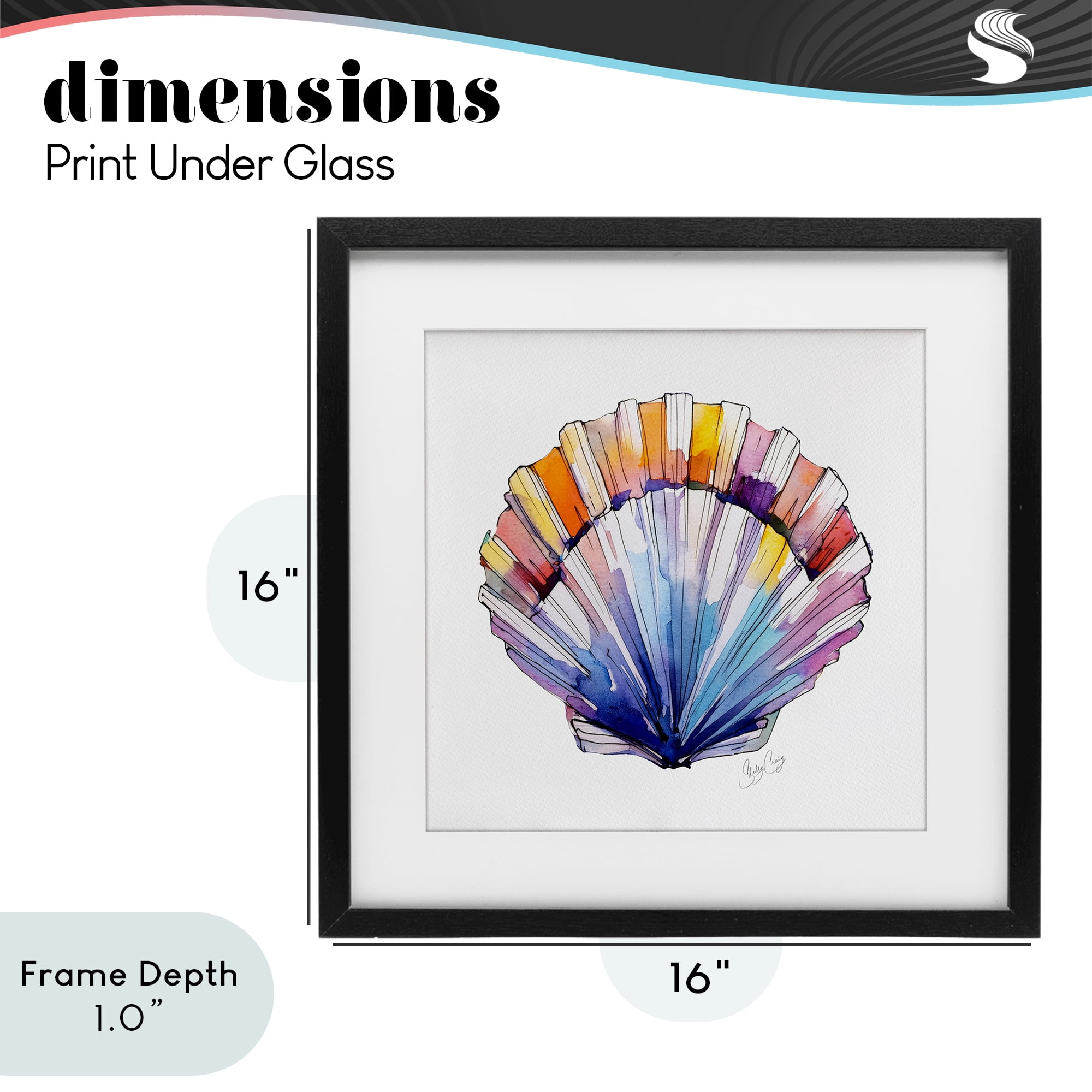 Stupell Industries Coastal Scallop Watercolor Black Framed Print Under Glass, design by Shelly Craig