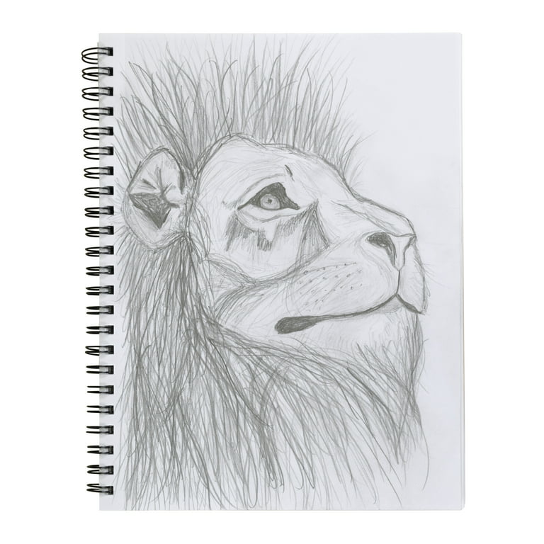 Pencil sketch : r/sketchpad
