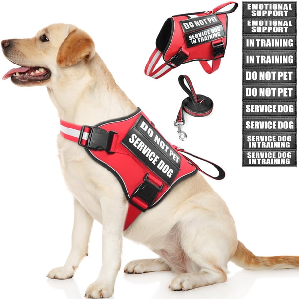 Set de chaleco, arnés y correa para perros de servicio MOOGROU rojo talla L