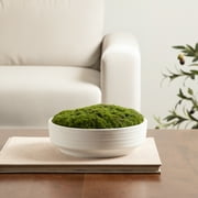 Better Homes & Gardens 8 Faux Moss in Ceramic Bowl