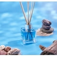 thumbnail image 5 of Smells Sea Salt Breeze Reed Diffuser, 50 ml, 5 of 5