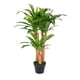 thumbnail image 1 of Planta Artificial Palo de Brasil VANLIG 100 cm, 1 of 2