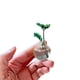thumbnail image 4 of Cerámica Mensajes Creativos Ceramics Vase Nevera Magnet 5pcs Mini DIY 3D Jarrón (b), 4 of 8