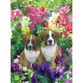 thumbnail image 1 of MasterPieces Puzzles Pawzzles - Pensamientos y cachorros MasterPieces 166363011, 1 of 1