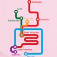 thumbnail image 2 of CafePress - Gastrointestinal Subway Map Infant Bodysuit - Baby Light Bodysuit, Size Newborn - 24 Months, 2 of 4