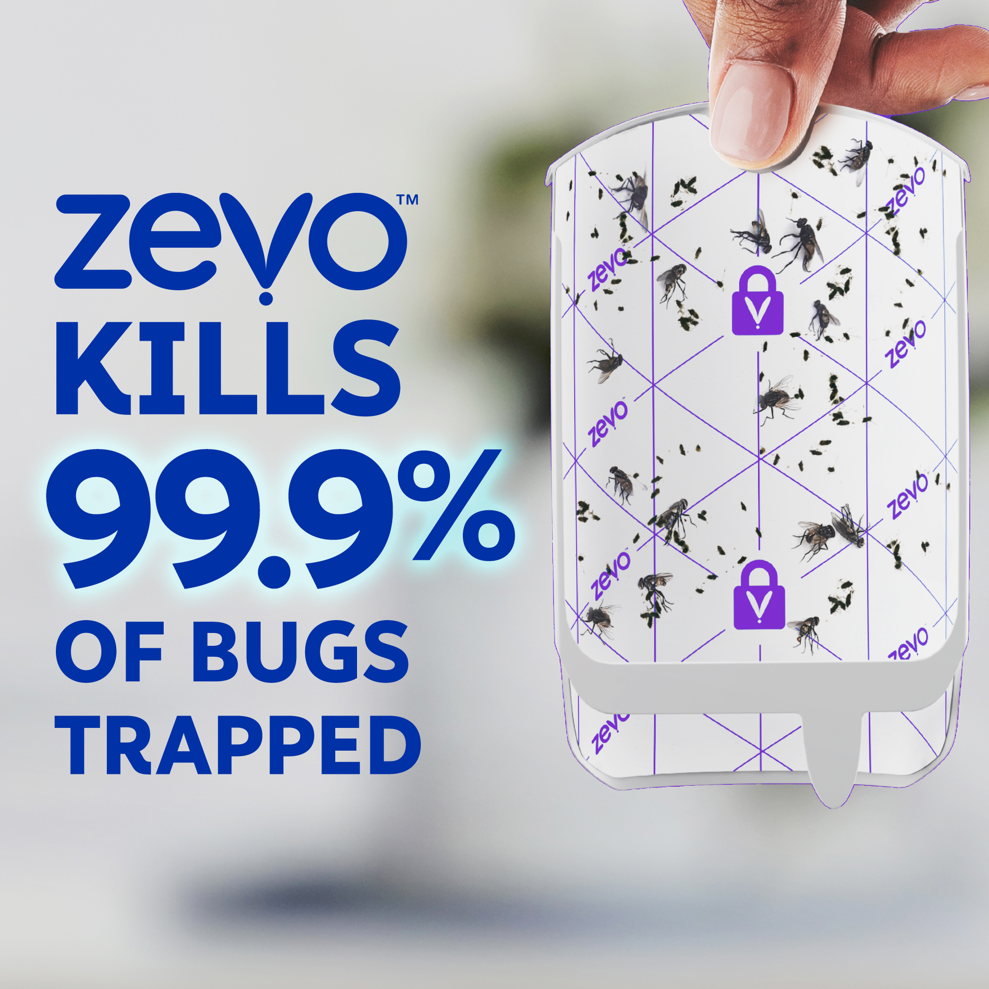 Zevo Flying Insect Indoor Fly Trap with UV Light photo 4