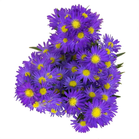 Mother's Day Assorted Filler Bunch (Fresh Cut Flowers)