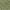 Olive, variant on Addison Rugs Chantille Indoor/Outdoor Transitional Floral Brown Washable Rectangle Rug, 8' x 10'