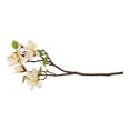 thumbnail image 1 of Bouquet Artificial Mainstays Magnolia Blanco, 1 of 4