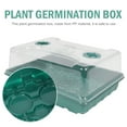 thumbnail image 5 of ifundom Green PP Sowing for Garden Plants and Vegetable Seed Starting Accessories, 5 of 6