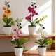 thumbnail image 2 of 4pzs Arreglo Orquídeas Artificiales Decoración Con Macetas Xtellar multicolor, 2 of 3