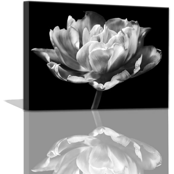 Black and White Wall Art - Modern Wall Decor Bathroom Artwork for Home Wall Floral Painting Wall Art Wall Decor for Bathroom Wall Art for Women Kitchen Pictures Black and White Decor 12x16inch