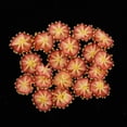 thumbnail image 1 of 20Pcs 14mm Apliques De Adornos Para Manualidades Costura Diademas Broche Ropa De Boda Vestidos Decoración De naranja Macarena Botones de flores Flatback Charm, 1 of 8