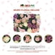 thumbnail image 3 of Muro De Flores Artificiales/deluxe/caja 8 Pz INVIERNO, 3 of 6