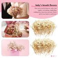 thumbnail image 4 of Topboutique Mini Dried Baby's Breath Flowers,50 Pcs Gypsophila Branches,Dry Flowers Bulk,Pressed Dried Flowers for Hair Accessory DIY,Wedding Wreath,Table Vase,Card Making,Gift,Beige-5 in/13 cm, 4 of 8