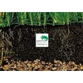 thumbnail image 1 of Sustrato 100% Natural Nutritivo 6 Kg para acuario y plantas laazootea sustrato6, 1 of 3