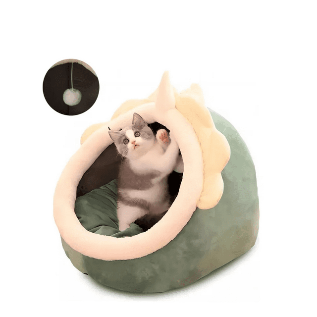 Casa Y Cama Gato Plegable Con Cojín Suave Para Mascota Xtellar verde