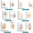 thumbnail image 2 of PH PandaHall 460pcs Natural Spiral Shell Beads, 7~20mm 6 Styles Small Seashells Undrilled Ocean Spiral Seashells Miniature Shells for DIY Jewelry Craft Wedding Decor Fish Tank Vase Filler, No Hole, 2 of 7