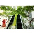thumbnail image 4 of Césped De Simulación Para Decoración De Fondo De Pared De Jardín De Tienda, 13 - 13 #, Individu Colco Césped artificial, 4 of 8