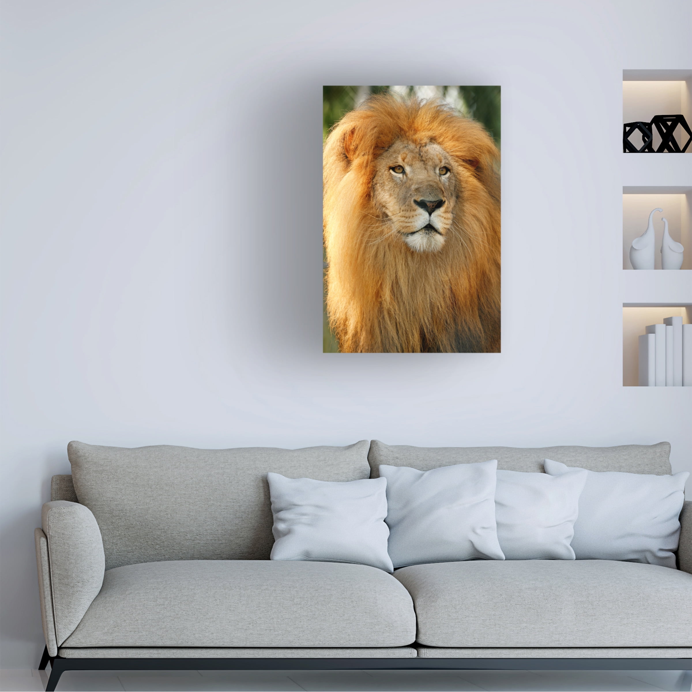 Trademark Fine Art 'Lion' Canvas Art by Mike Jones Photo