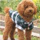 thumbnail image 3 of Nvzi Camiseta para perro y gato, camisetas transpirables para mascotas, sudadera para cachorro, ropa para perro, abrigos para perros pequeños, medianos y gatos, L, A37, 3 of 4