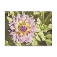 thumbnail image 2 of Gango Home Decor Garden Dahlias II by George Johnson (Printed on Paper); One 24x18in Fine Art Paper Giclee Print, 2 of 4