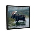 thumbnail image 3 of Stupell Industries Moose Lake Ripples Splashing Animals & Insects Painting Black Floater Framed Art Print Wall Art, 3 of 6