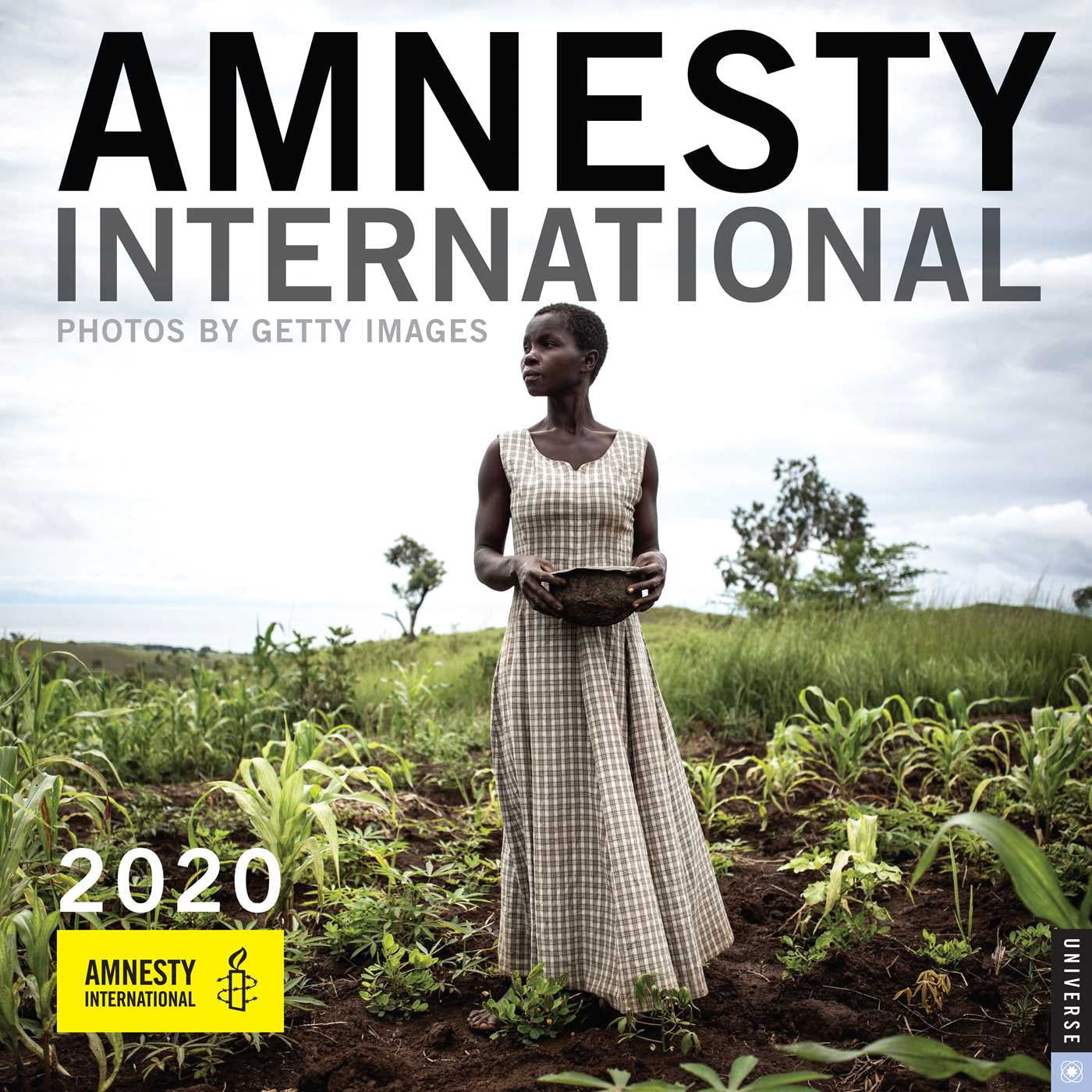 amnesty-international-2020-wall-calendar-calendar-walmart