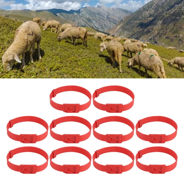 Paquete de 10 Collares de Cabra Collares de Oveja Juego de Collar de PU Ajustable Collar de Bronce Fuerte Antipérdida para Mascotas para Animales de Granja Pequeños ANGGREK Otros