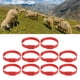 thumbnail image 1 of Paquete de 10 Collares de Cabra Collares de Oveja Juego de Collar de PU Ajustable Collar de Bronce Fuerte Antipérdida para Mascotas para Animales de Granja Pequeños ANGGREK  Otros, 1 of 8