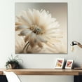 thumbnail image 2 of Designart White Gerbera Flowers III Canvas Wall Art, 2 of 5