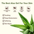 thumbnail image 2 of Gel de aloe vera Green Leaf Naturals, 355 ml, 100% puro, sin perfume, 2 of 9