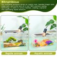 thumbnail image 4 of Gecko Tank & Reptile Terrarium Kit with Heat Lamp, Spray Bottle, Tools & Hideout - Perfect Habitat for Lizards, Snakes, Turtles, Hermit Crabs, Frogs, Jumping Spiders 8x8x6 Inch, 4 of 9