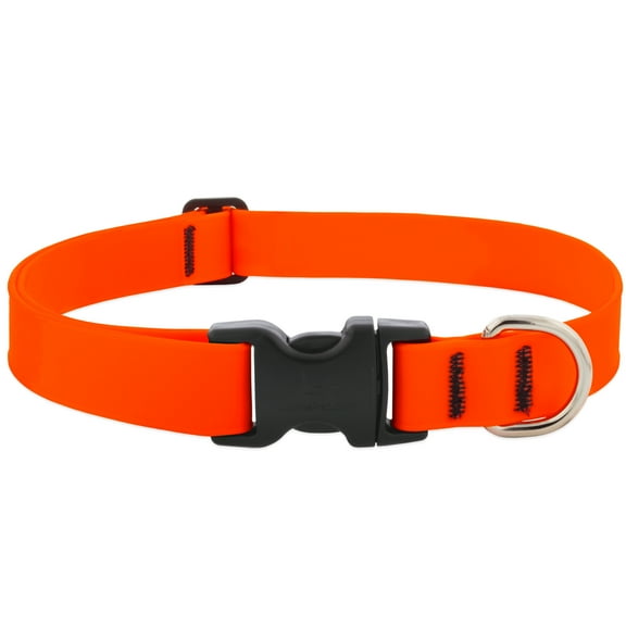 Lupine 1 In. Waterproof Neon Orange 12 to 20 In. Adjustable Collar 28552
