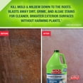 thumbnail image 4 of Mold Armor Multi-Purpose Pressure Washer Concentrate Gallon, 4 of 7