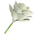 thumbnail image 4 of Flor suculenta artificial Oficina en casa Decoración de plantas suculentas falsas Decoración floral de EVA, grande, verde rosa Vogacara HA6992-04B, 4 of 6