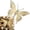Gold, variant on Clearance Under $2 Glitter Butterfly Ornament, 3D Christmas Hanging Decor, 1PC, 16.5x12.5cm, Wreath Window, Pink (B)