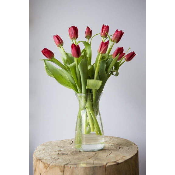 KaBloom : Bouquet of Fresh 10 Red Tulips, Greens with Vase, Next-Day Delivery, Gift for all occasion