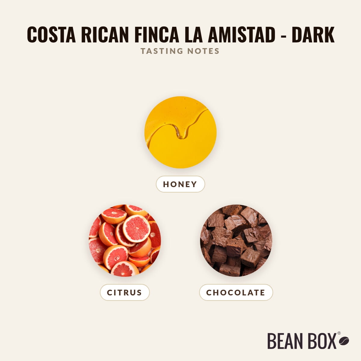 Costa Rican Finca La Amistad - Dark - Roasted by Amrita Certified Pure - Whole Bean Coffee - 12oz Bag