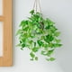 thumbnail image 4 of Plantas falsas Plantas colgantes artificiales Plantas de eucalipto falsas en macetas Paquete de 2 enredaderas verdes en maceta simple para decoración interior y exterior del hogar, 4 of 5